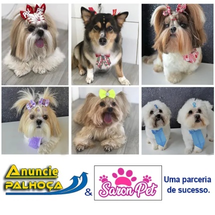 Imagem principal da fachada da empresa Saron Pet Banho e Tosa