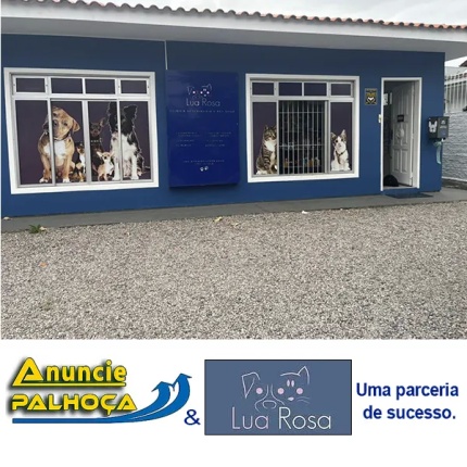 Portal de anúncios Anuncie Palhoça, parceria de sucesso com Lua Rosa Clínica Veterinária E Pet Shop